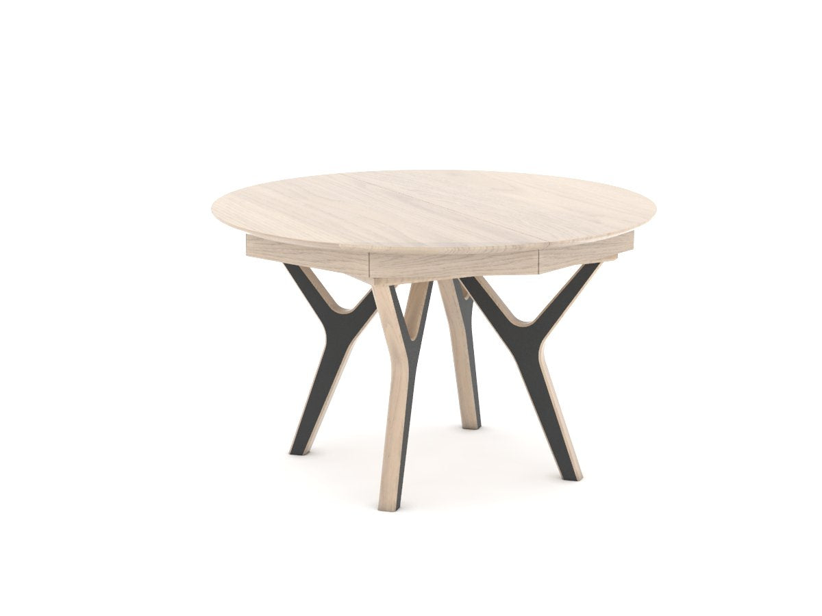 NÉO – Table ronde (NETR)