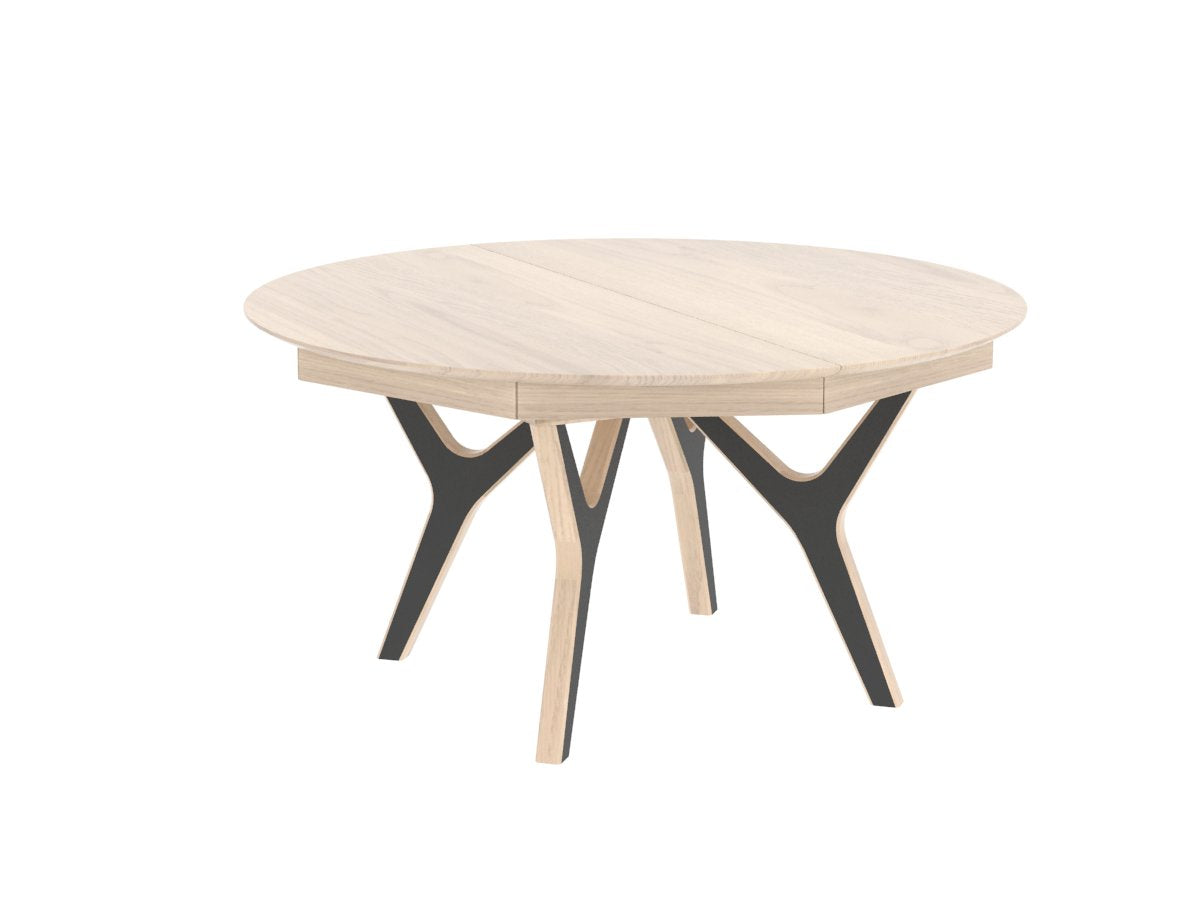 NÉO – Table ronde (NETR) – vue 2