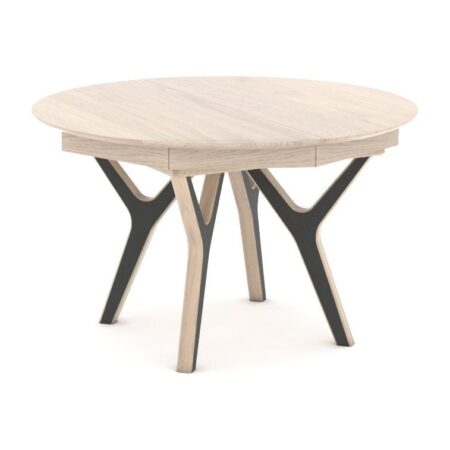 NÉO – Table ronde (NETR)