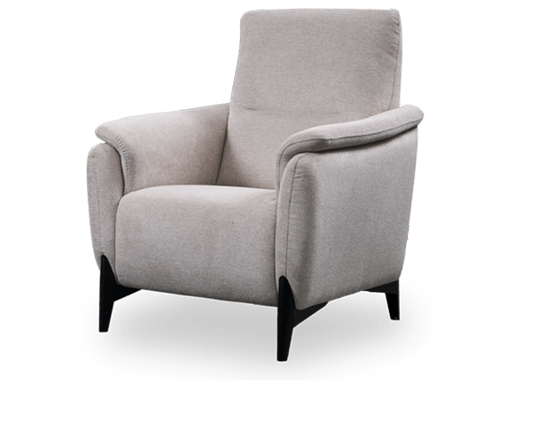 DENIS – Fauteuil relax électrique cuir – Meubles Leclerc Lodève